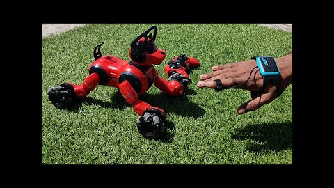 Toyshine Remote Control Smart Robot Dog Toy with Light and Sound, Gesture Sensing Function