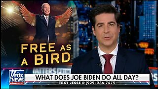 Watters: Biden's Going Back In The Basement For His Re-election Campaign