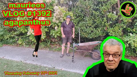 maurieos VLOG #1392 agapanthus