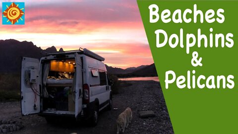 Beaches, Dolphins & Pelicans, Oh My!//EP 4 Beatin’ It To Baja in Our Converted Ram Promaster 136 Van