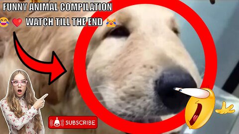 FUNNY ANIMAL COMPILATION 😂❤️ WATCH TILL THE END 😹