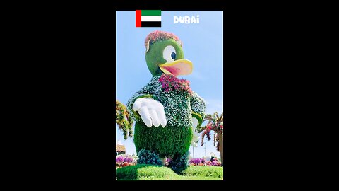 Amazing Dubai🇦🇪: 😱🌹Miracle Garden😱