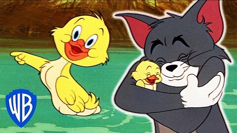 Tom & Jerry em Português | Brasil | Coletânea de desenhos clássicos