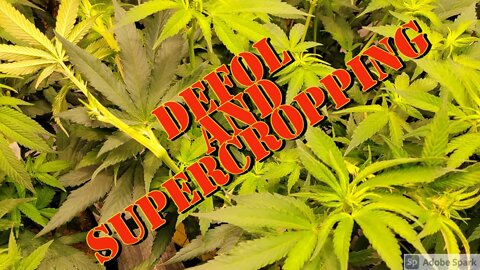 Defol and Supercropping