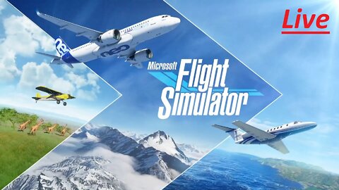 La Morte Arriva Dal Cielo (Microsoft Flight Simulator - PC)