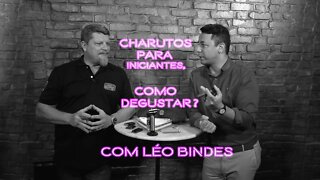 CHARUTOS PARA INICIANTES, COMO DEGUSTAR? Com Léo Bindes