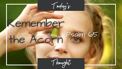 Today's Thought: Psalm 65| Remember the acorn