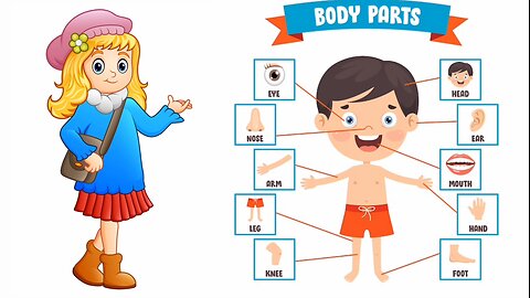 Body parts in English||explore your body||educational video
