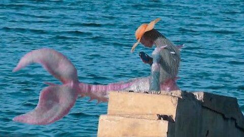 Top 10 Convincing Mermaid Sightings Caught On Tape