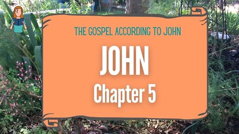John Chapter 5 | NRSV Bible
