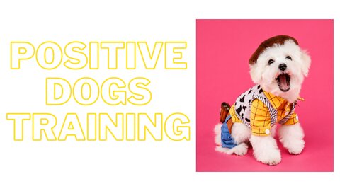 Positive Dogs Training