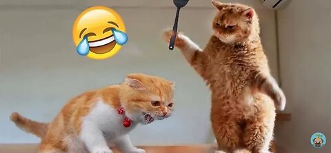 🔥Most Trending Animal Videos - Funniest Cats and Dogs 2023 😺🐶 | Pets Island