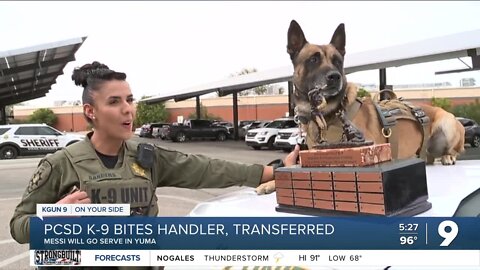 Problem law enforcement dog transferred to Yuma police