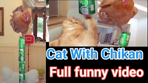 Cat With Chikan very funny video