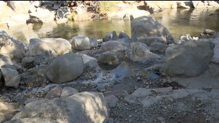 Uncertainty surrounding the Miracle Hot Springs following removal of tubs