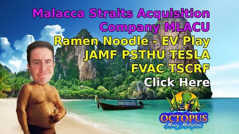 Malacca Straits Acquisition Company MLAC SPAC New JAMF PSTHU FVAC Penny Stock Picks TSCRF