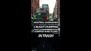 Montreal Garbagemen Dump Compost & Recycling In Trash