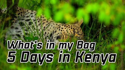 What's in my camera bag? | 5 Day Safari Edition