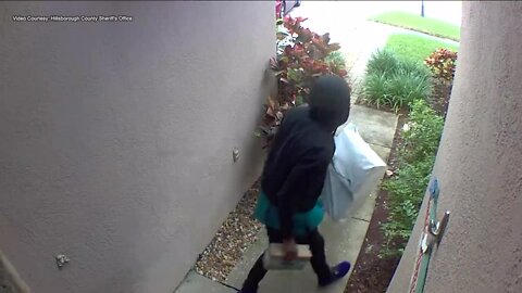 'Holiday Hunters' stalk homes to steal package deliveries