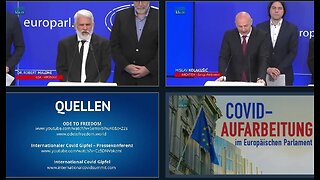 Covid-Aufarbeitung im Europäischen Parlament – für Freiheit und Gerechtigkeit