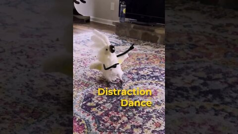 🕺 Distraction Dance 🕺(shorts)