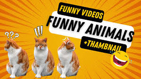 Funny animal videos 2023 - Funny cats/dogs - Funny animals Part71/Haypyy Pett
