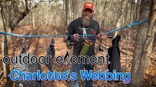 CHARLOTTE'S WEBBING from OUTDOOR ELEMENT