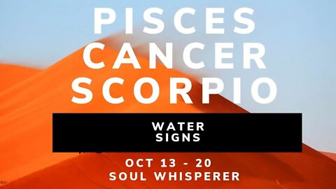 WATER SIGNS: Pisces Cancer Scorpio * Stay in Reflection and Connection Don't Let Anything Derail You