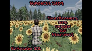 Ranch Sim - Ep 22 - Harvesting Sunflowers