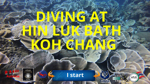 🤿 Diving at Hin Luk Bat, koh chang november 2022