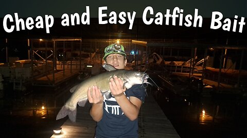 Best Catfish Bait Cheap and Easy