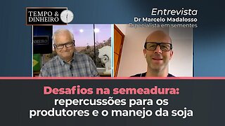 Desafios no calendário de plantio da soja: análise de Marcelo Madalosso, especial para Clube do T&D