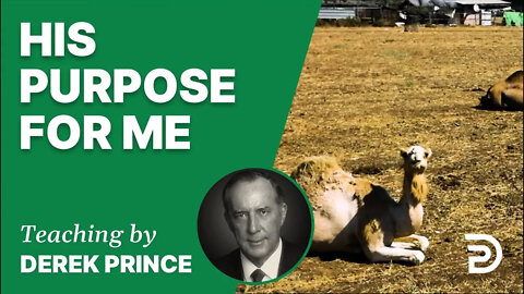 📗 His Purpose for Me 18/7 - A Word from the Word - Derek Prince