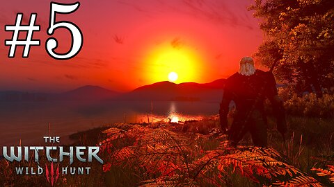 The Witcher 3: Wild Hunt - Parte 5: Descobertas e Novas Missões no Mundo Aberto