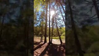 Timelapse hike in Canada