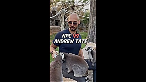NPC Vs Andrew Tate