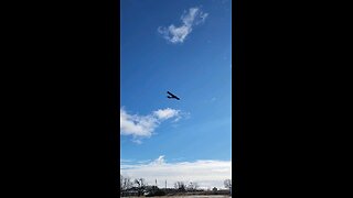 ultralight flying