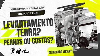 TERRA é para perna ou costas? #hipertrofia #hipertrofiamuscular #terra #costas #pernas #treino