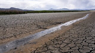 About 6M Californians Ordered To Cut Water Usage Amid Drought