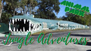 Jungle Adventures Animal Park in Christmas Florida