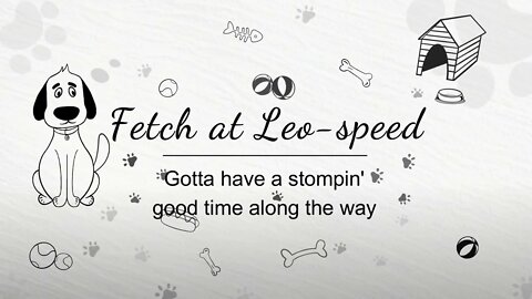 Fetch at Leo Speed