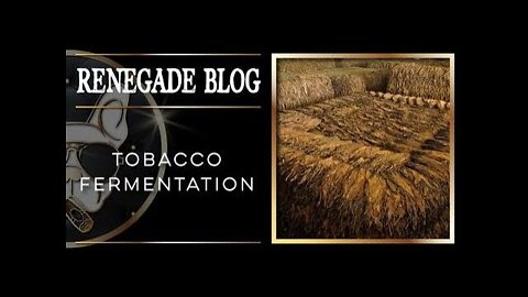 Cigar Education | Tobacco Fermentation