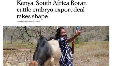 Africa announces trade deals to export embryos … is this the first step to human trading 🤷‍♀️🤔