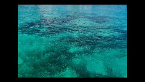 Diving Off Cat Cay Tue 16 MAR 21