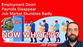 Employment Down, Payrolls Disappear, Job Market Stumbles Badly - NOW WHAT!!??