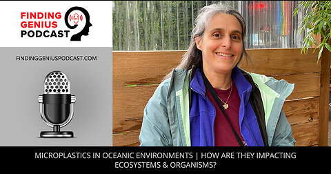 Microplastics In Oceanic Environments | How Are They Impacting Ecosystems & Organisms?
