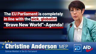 EU Parliament is completely in line with the globalist "Brave New World”-Agenda