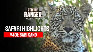 Safari Highlights #401: 20 - 22 April 2016 | Sabi Sand Wildtuin | Latest Wildlife Sightings