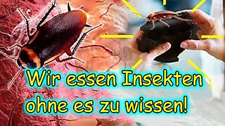 Isst Du Schon INSEKTEN? Die Dunkle WAHRHEIT🙈🐑🐑🐑 COV ID1984