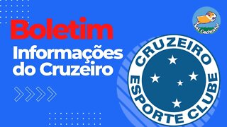 Boletim do Canal Sai Cachorro com informações do Cruzeiro 30/11